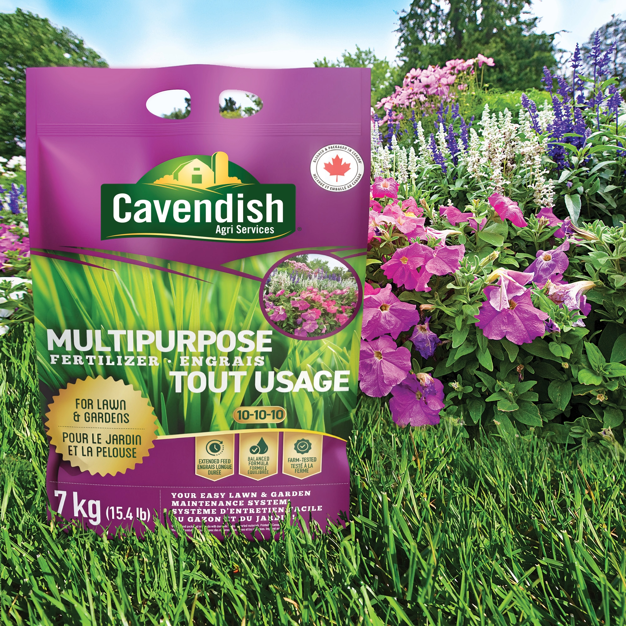 CA-Multipurpose