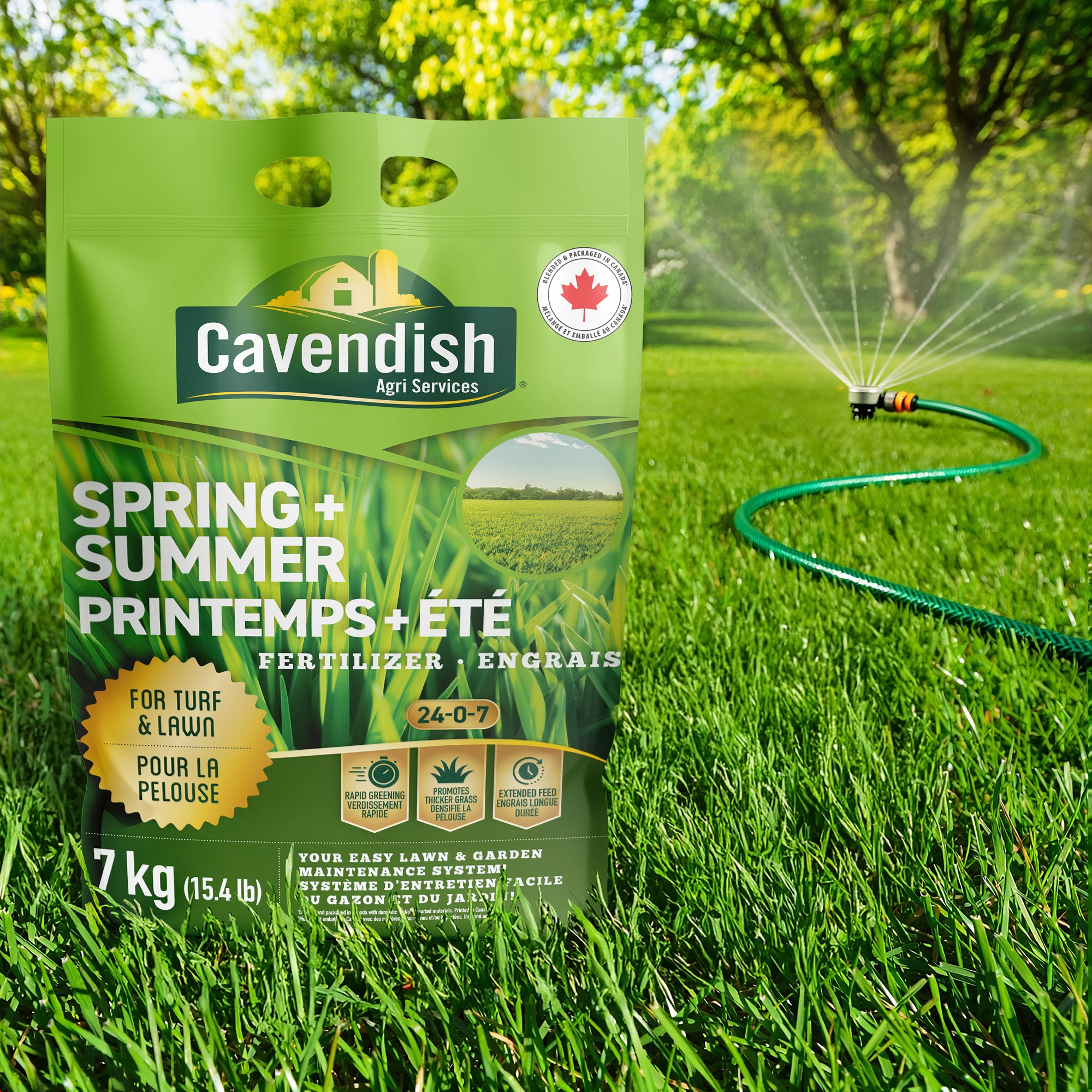 CA-Spring